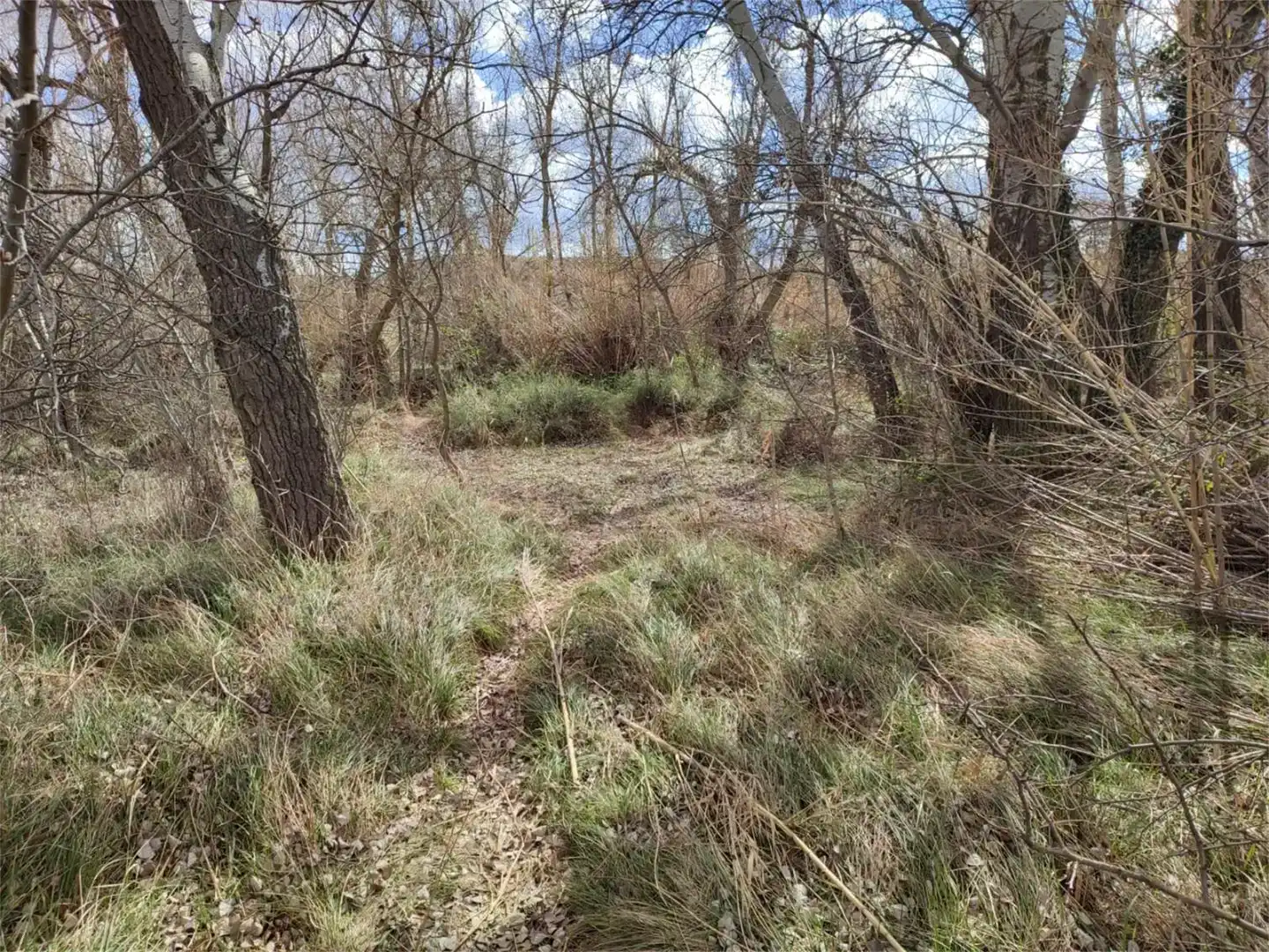 Land for sale in Botorrita
