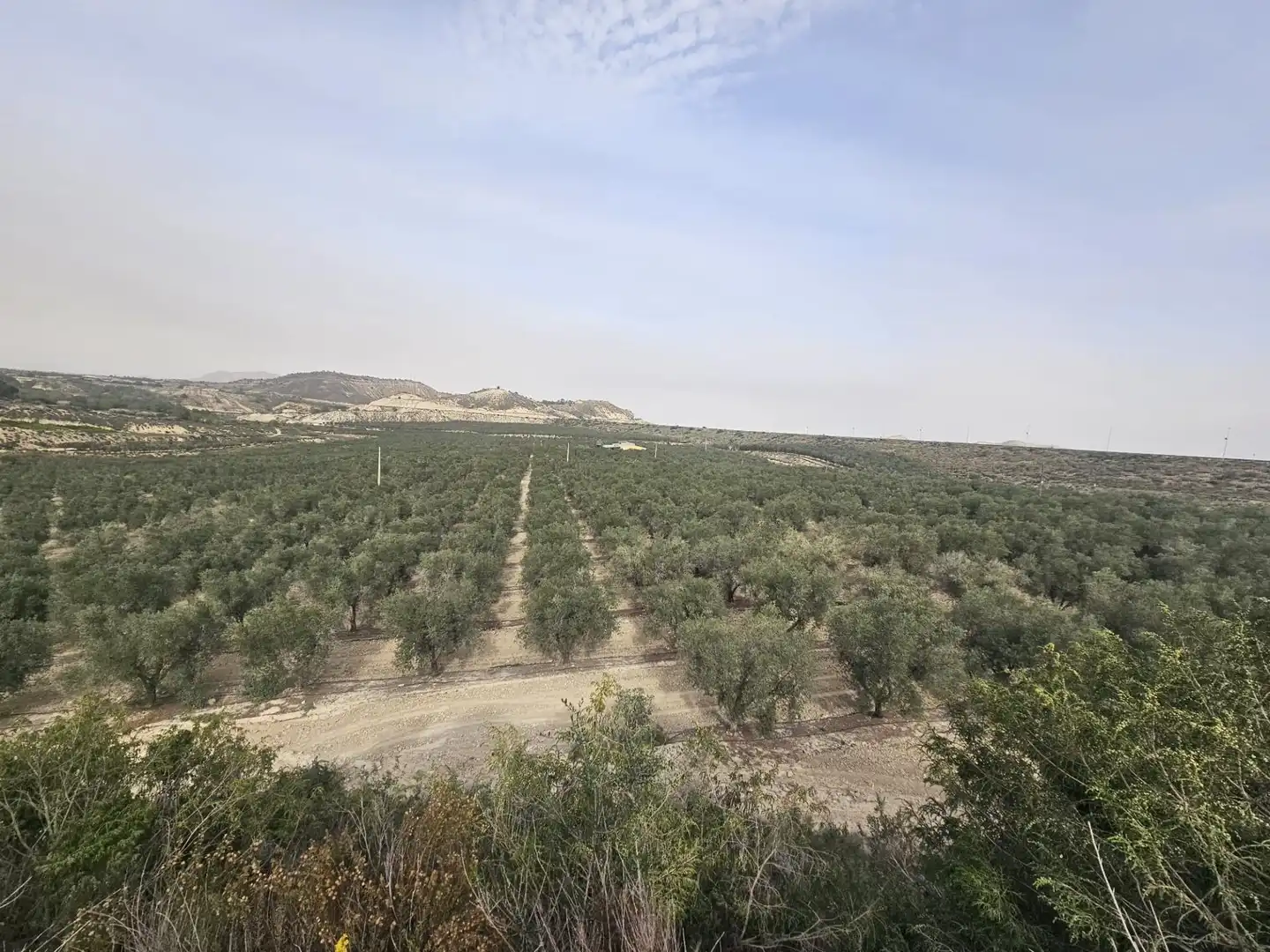 Rural land for sale in Desamparados - Hurchillo - Torremendo, imagen 6