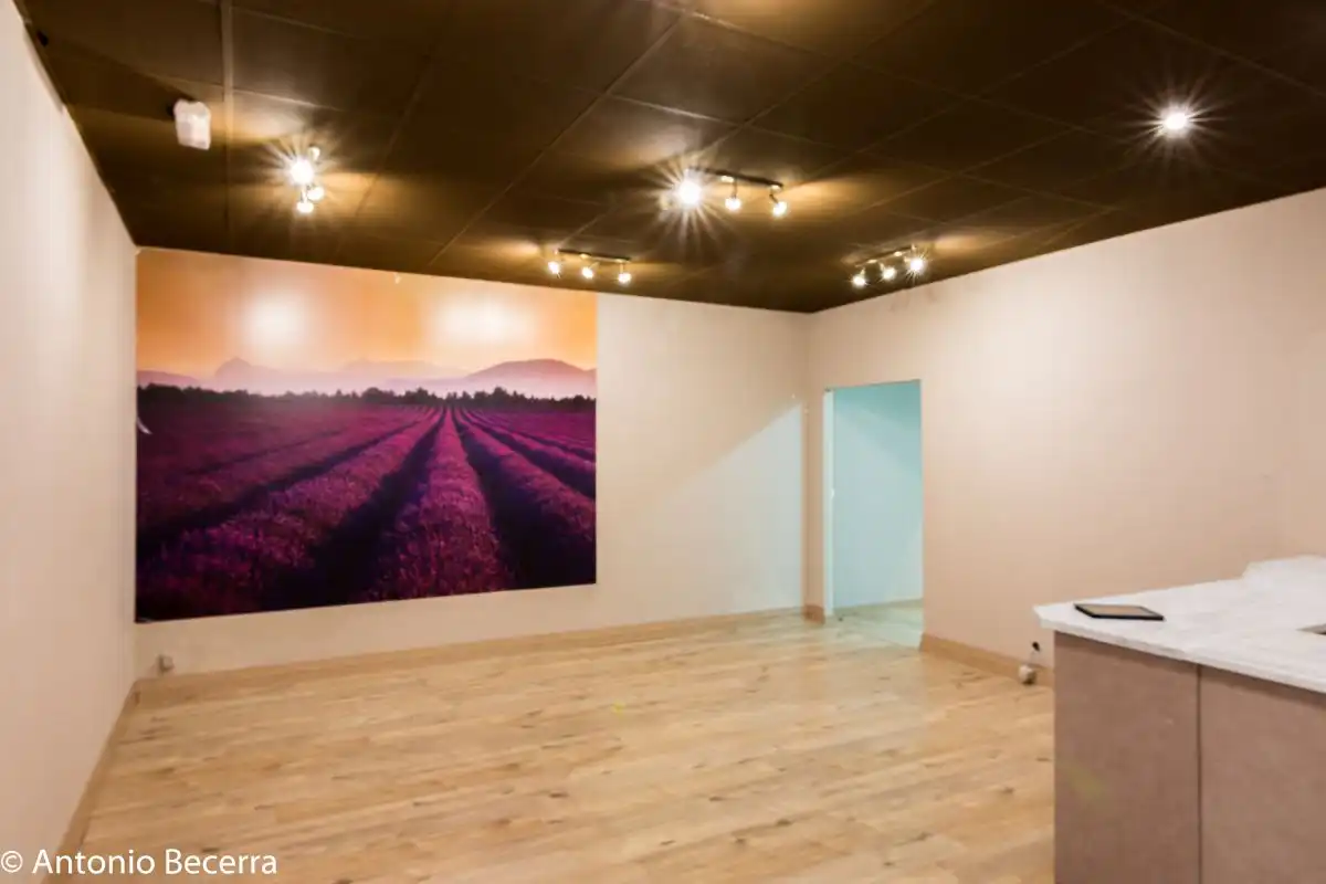Commercial properties for sale in Espartinas  with Air Conditioner