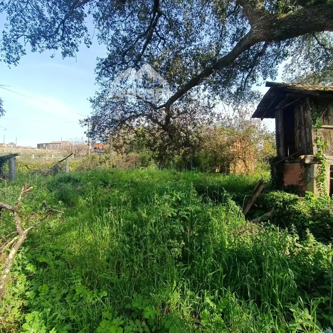 Detached homes for sale in Salvaterra de Miño