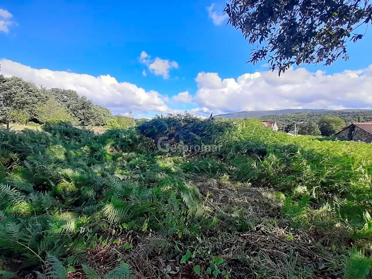 Country homes for sale in Castro Caldelas  with Private garden and Balcony