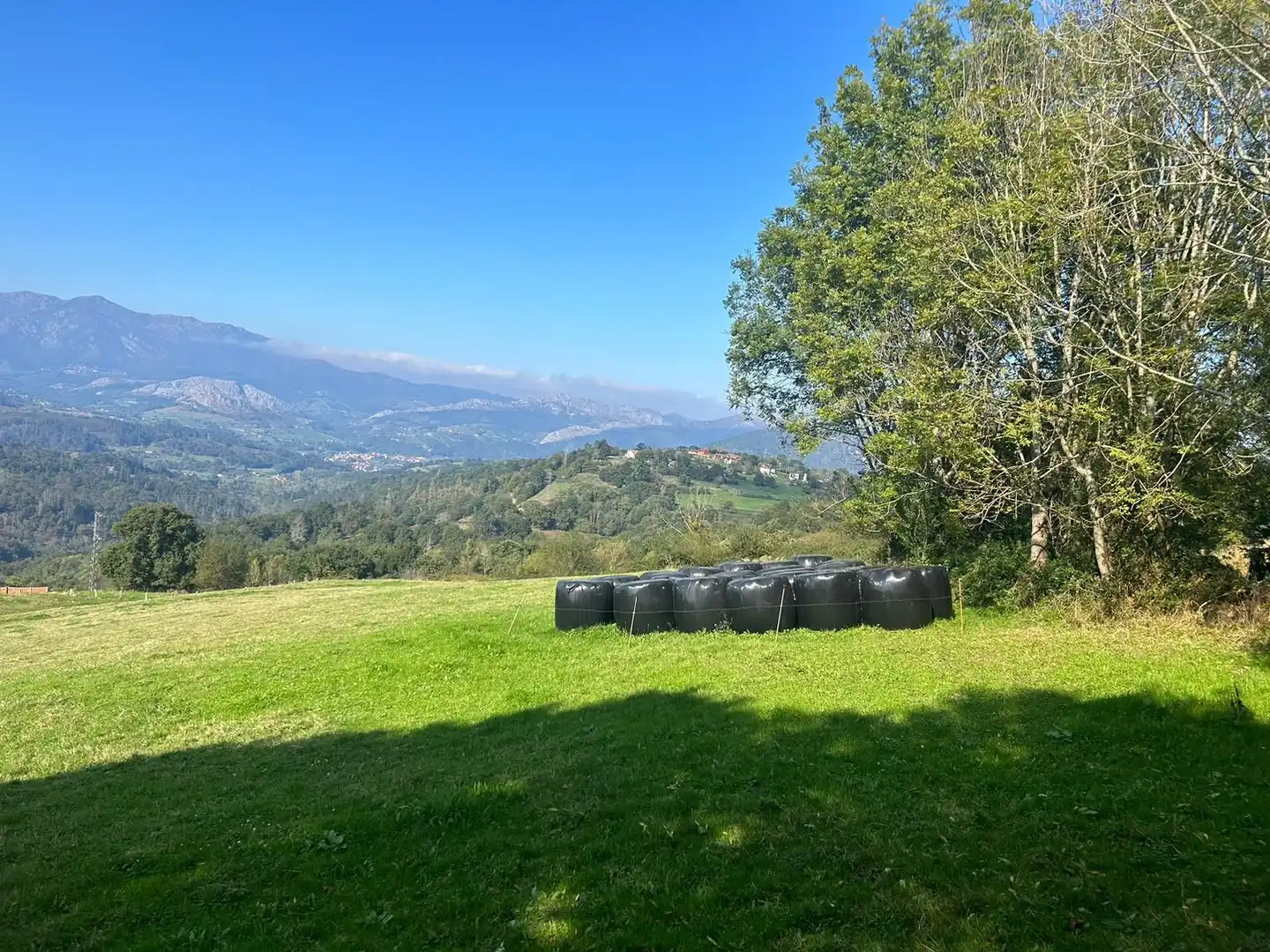 Terrenos y solares en venta en Parres, imagen 5