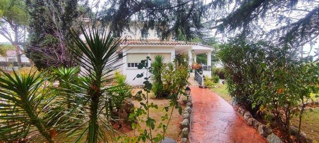 Casa-chalet en Venta en Calle ESPAÑA en Polideportivo Colonia
