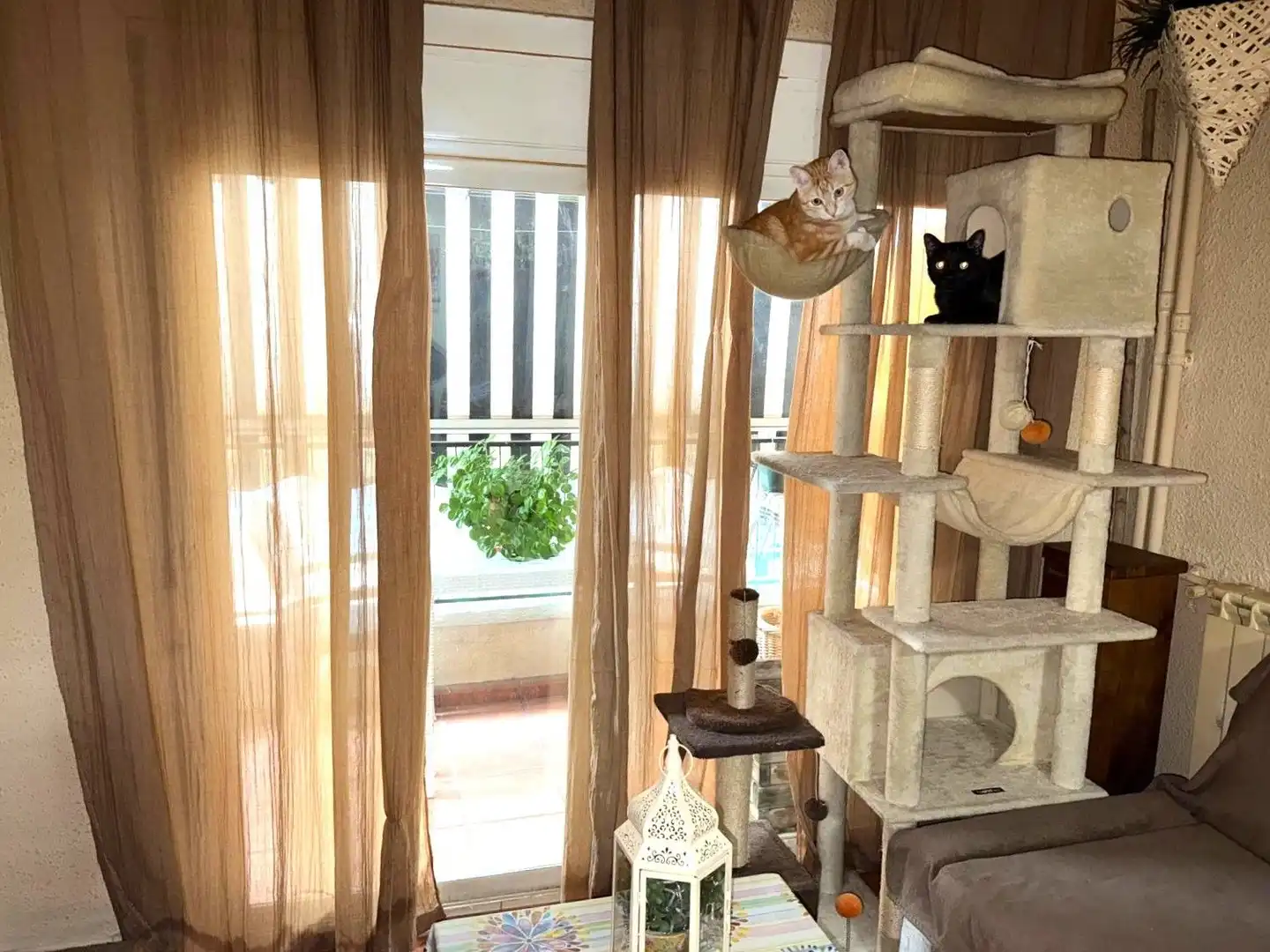 Sala de estar de Piso en venta en Lleida con Aire acondicionado y Calefacción