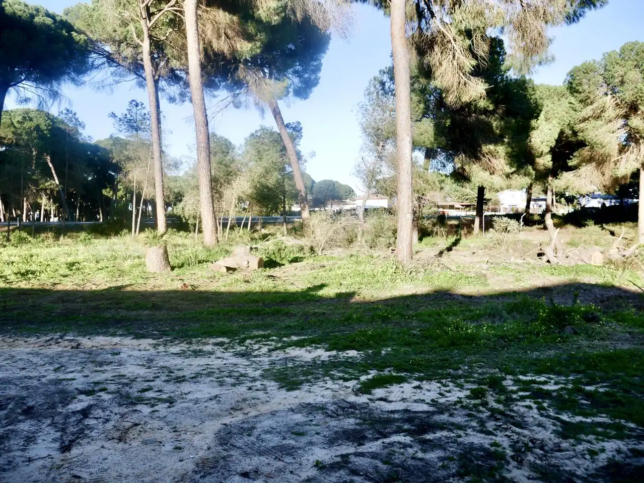 Casa o xalet en venda en Hinojos amb Jardí privat i Moblat