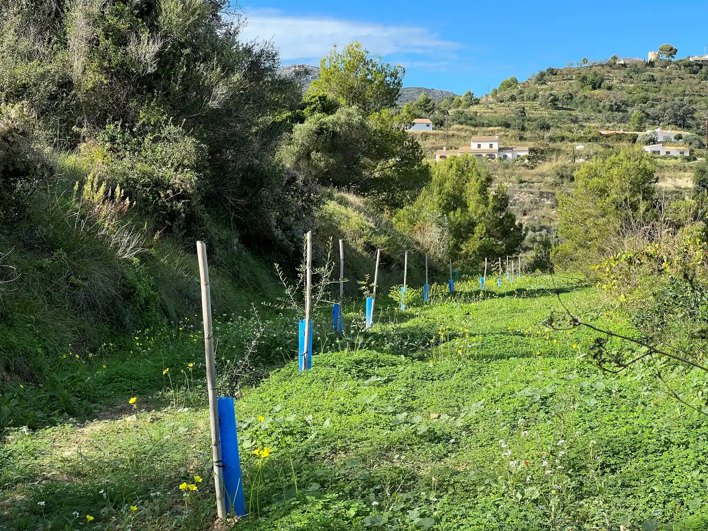 Terreno rústico en venta en Benissa pueblo, imagen 3