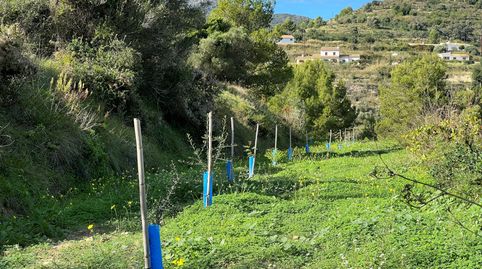 Foto 3 de Terreno en venta en Benissa pueblo, Benissa