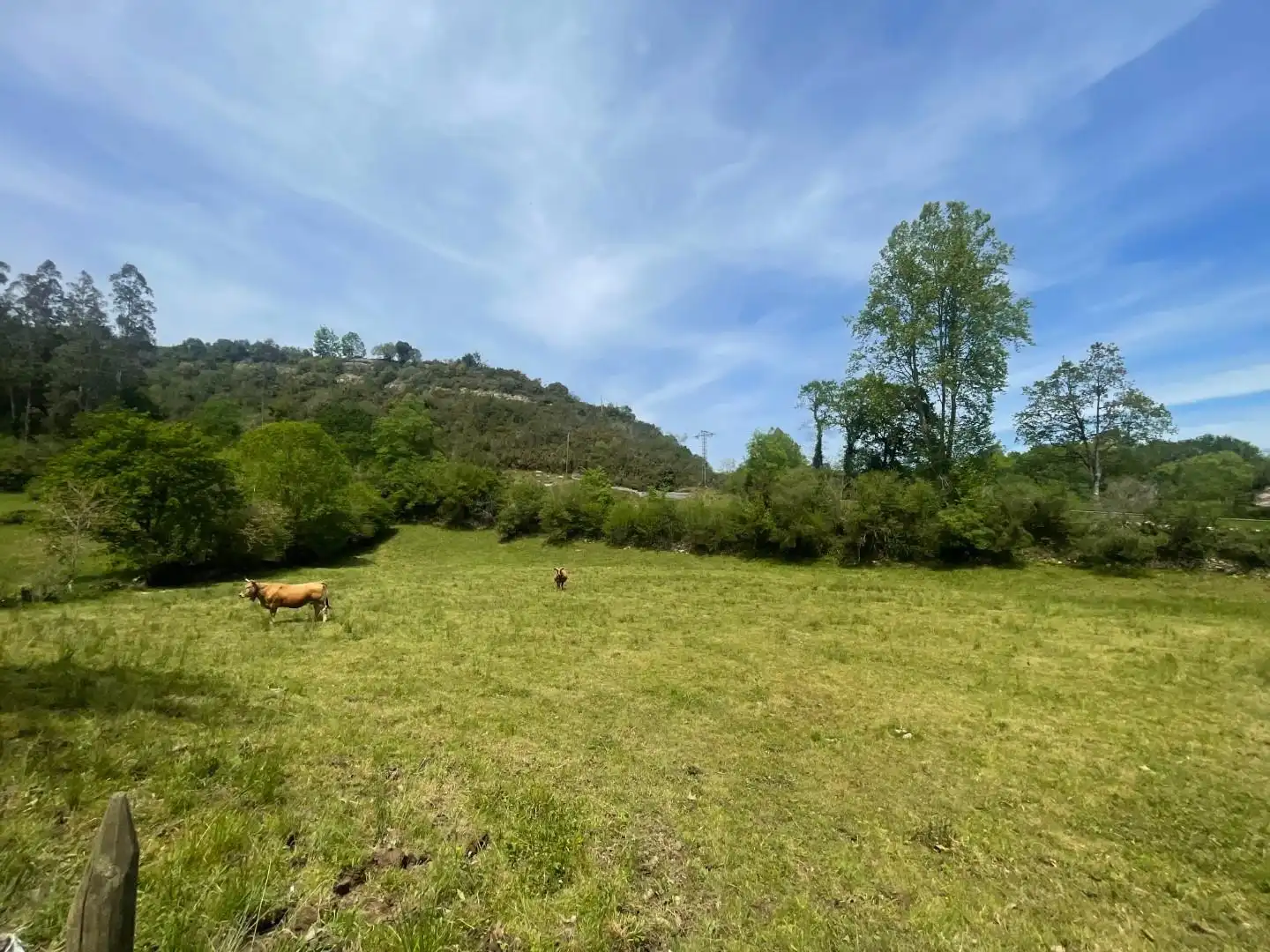 Terrenos y solares en venta en Valdáliga, imagen 4