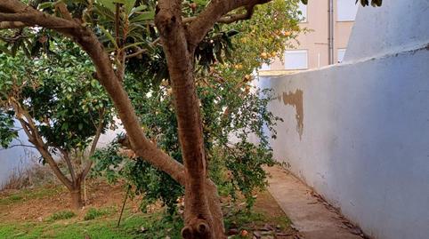 Foto 5 de Planta baixa en venda a Son Cotoner,  Palma de Mallorca