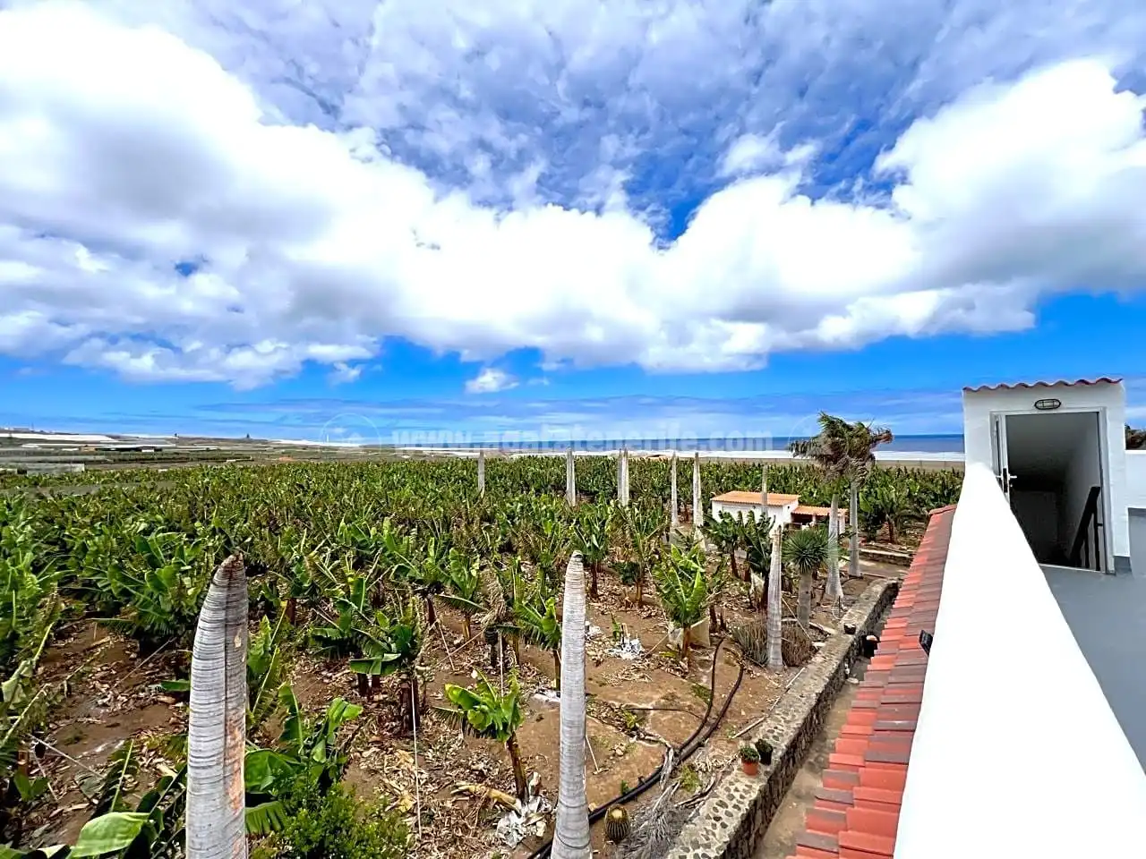 Vista exterior de Finca rústica en venta en Los Silos con Jardín privado y Terraza