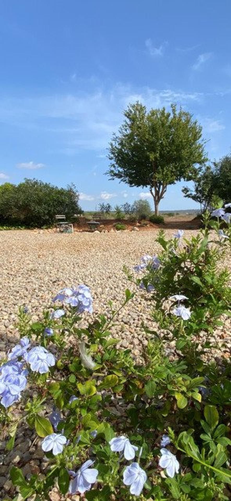 Garden of Country house for sale in Campos  with Heating