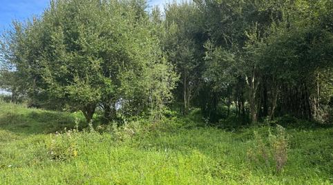 Foto 5 de Finca rústica en venda a Barrio Gajano-piñiro, Marina de Cudeyo, Cantabria