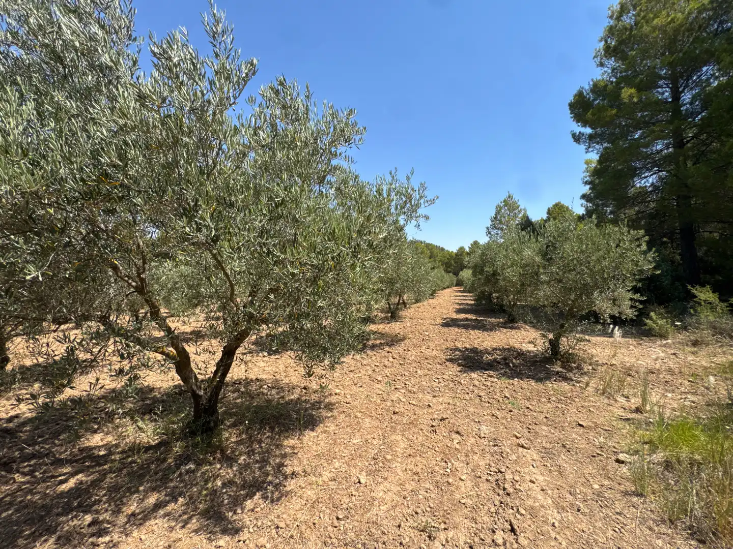 Rural land for sale in N/A, imagen 49