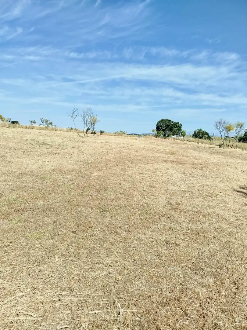 Terreno rústico en venta en Fuencarral - El Pardo, imagen 3