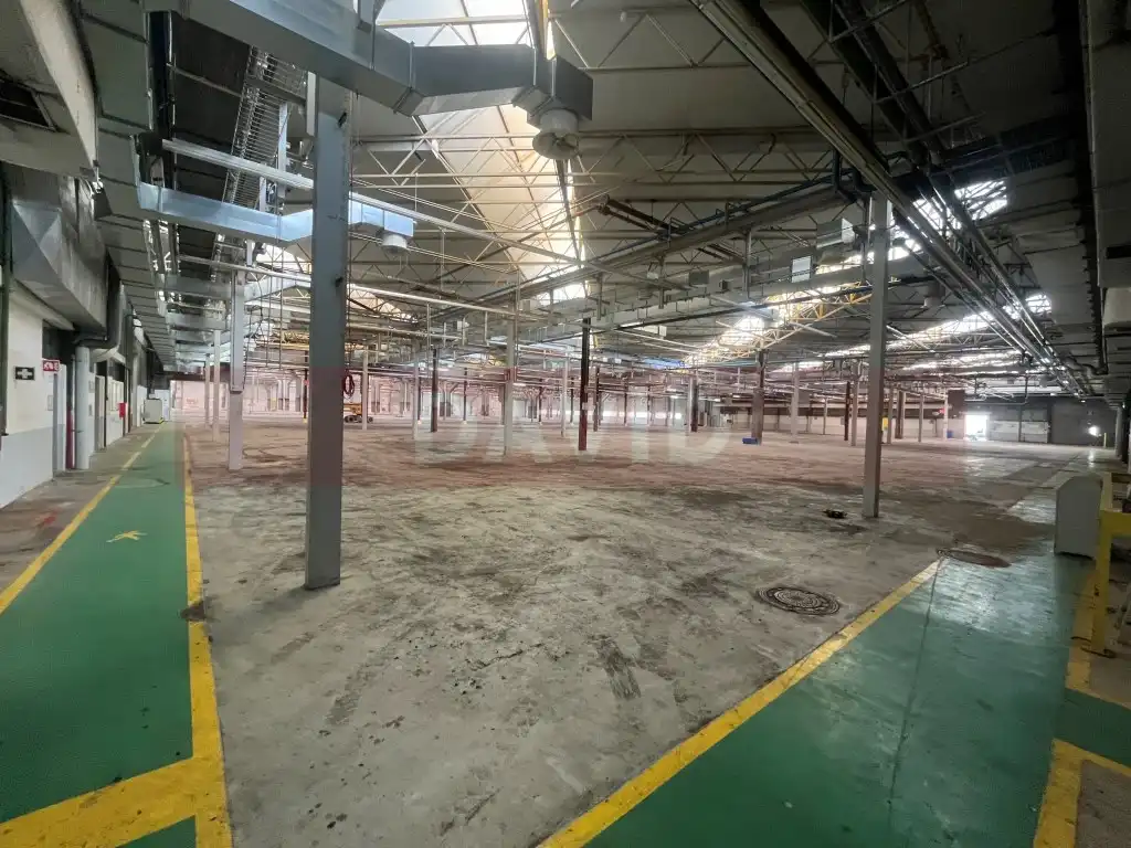 Industrial building for sale in Diseminados Poligon 39, imagen 9