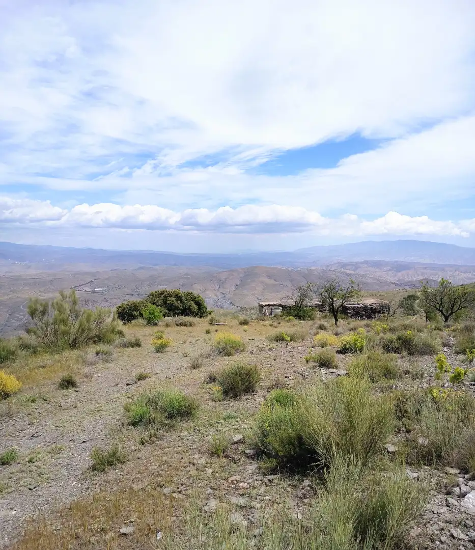 Terreno rustico in vendita a Alboloduy, imagen 14