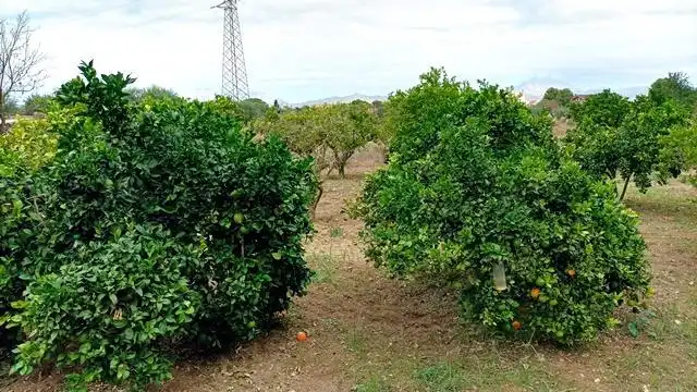 Xalet amb piscina en venda a Los Girasoles, imagen 39