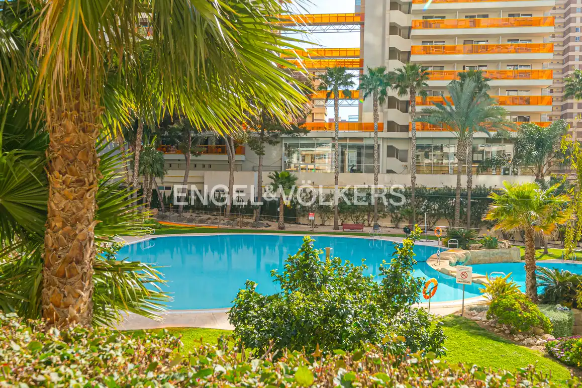 Piscina de Àtic en venda en Benidorm amb Aire condicionat, Jardí privat i Piscina comunitària