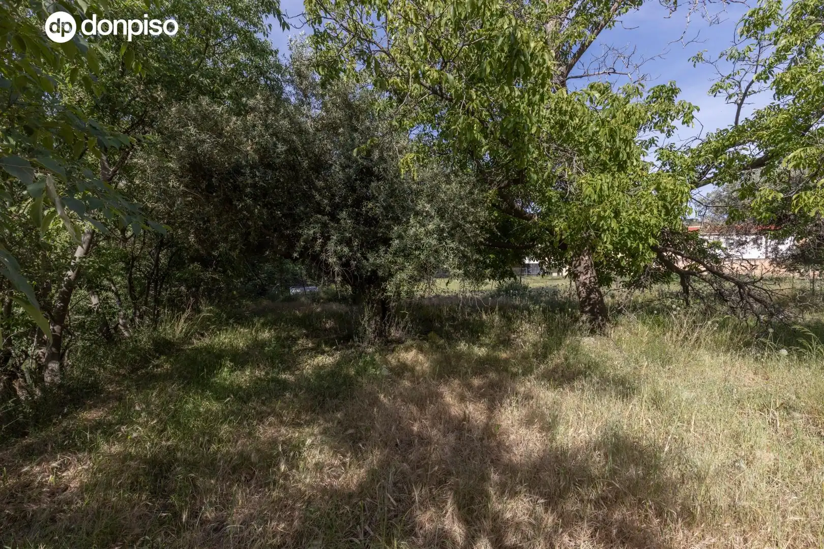 Lands and plots for sale in Carretera de Maitena, imagen 18