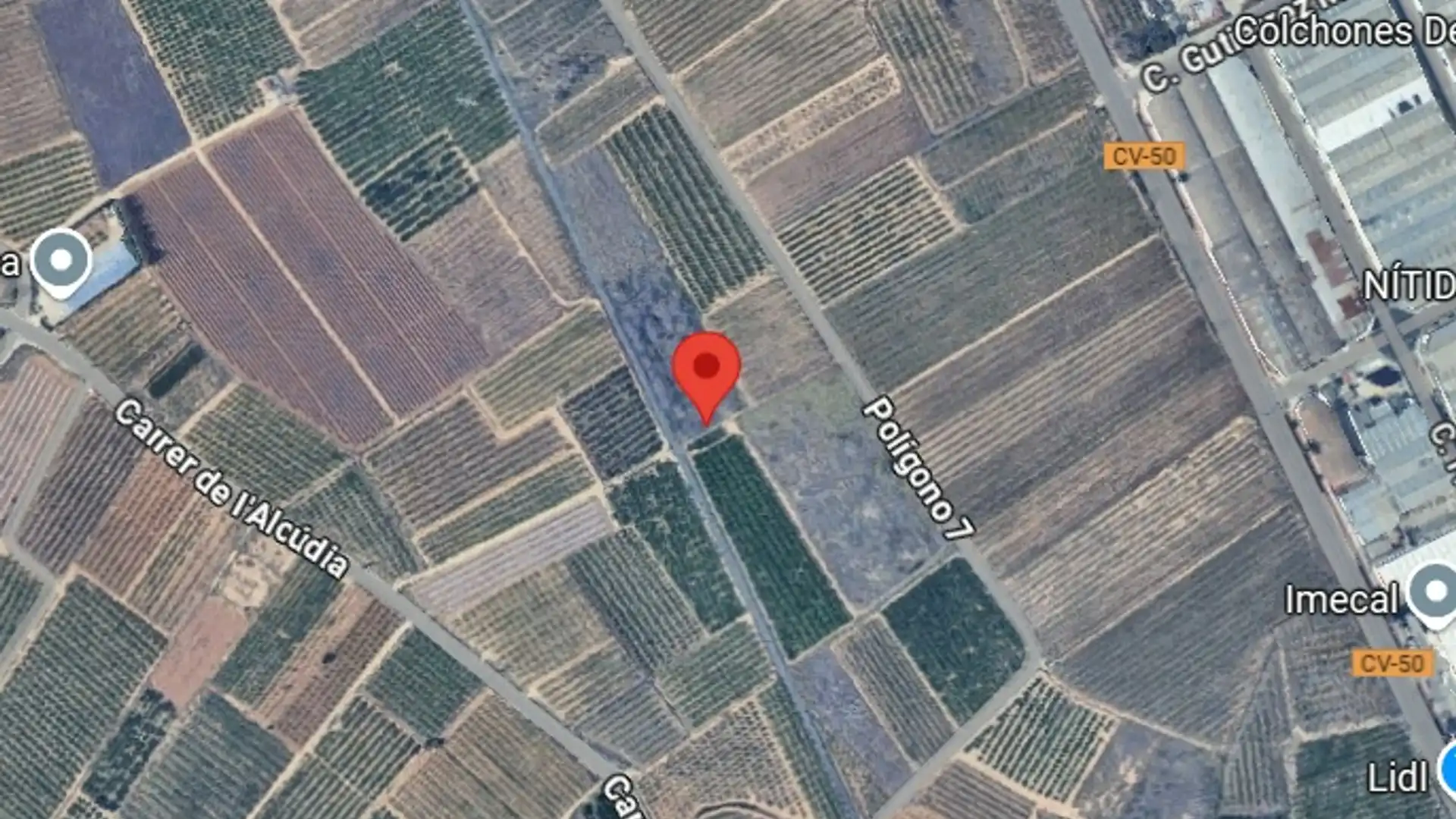 Land for sale in L'Alcúdia