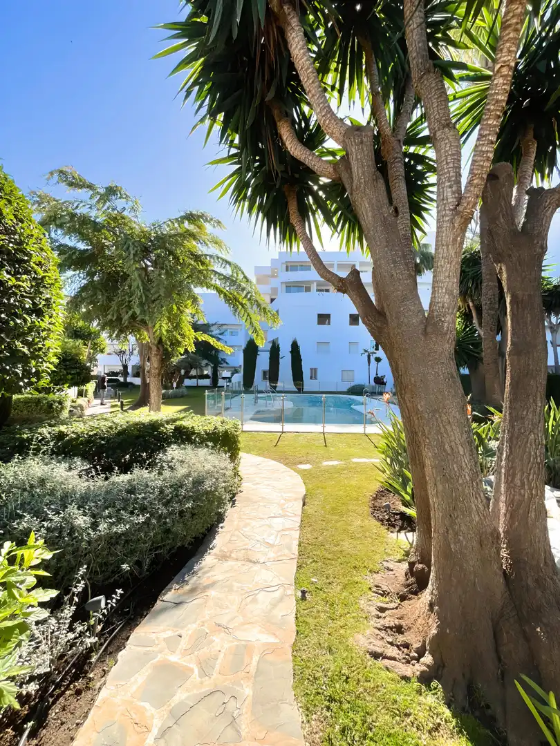 Bajo con piscina en venta en Nueva Andalucía, imagen 6