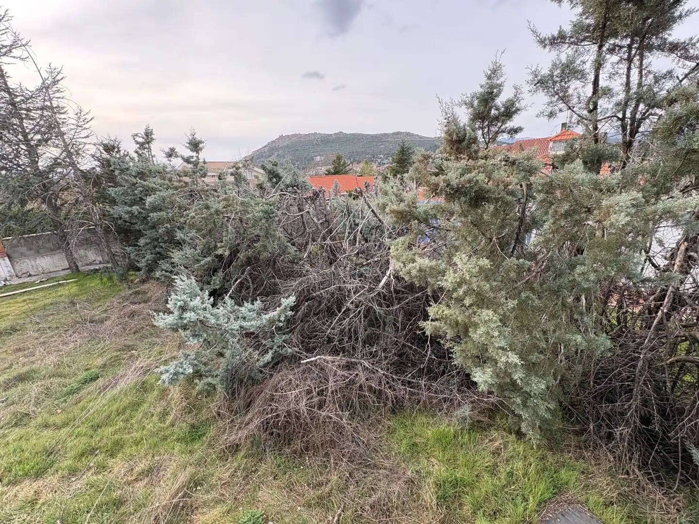 Haus oder Chalet zum Verkauf in Becerril de la Sierra