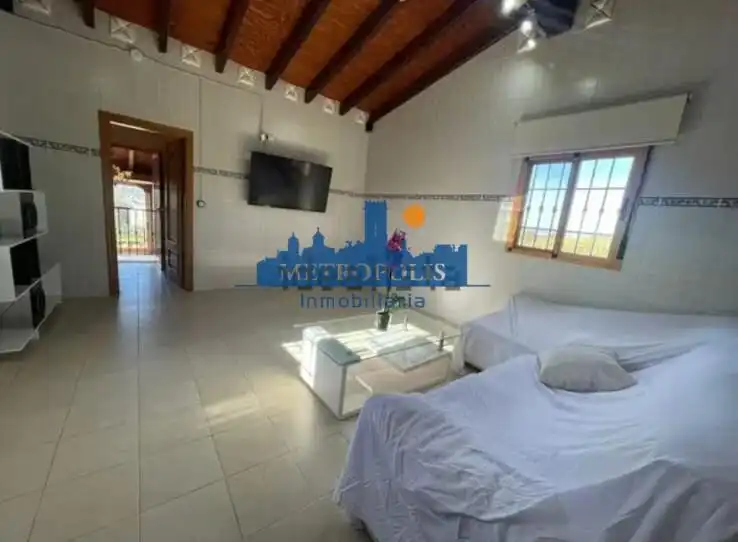 Vista exterior de Casa o chalet en venta en Burriana / Borriana con Aire acondicionado, Jardín privado y Terraza