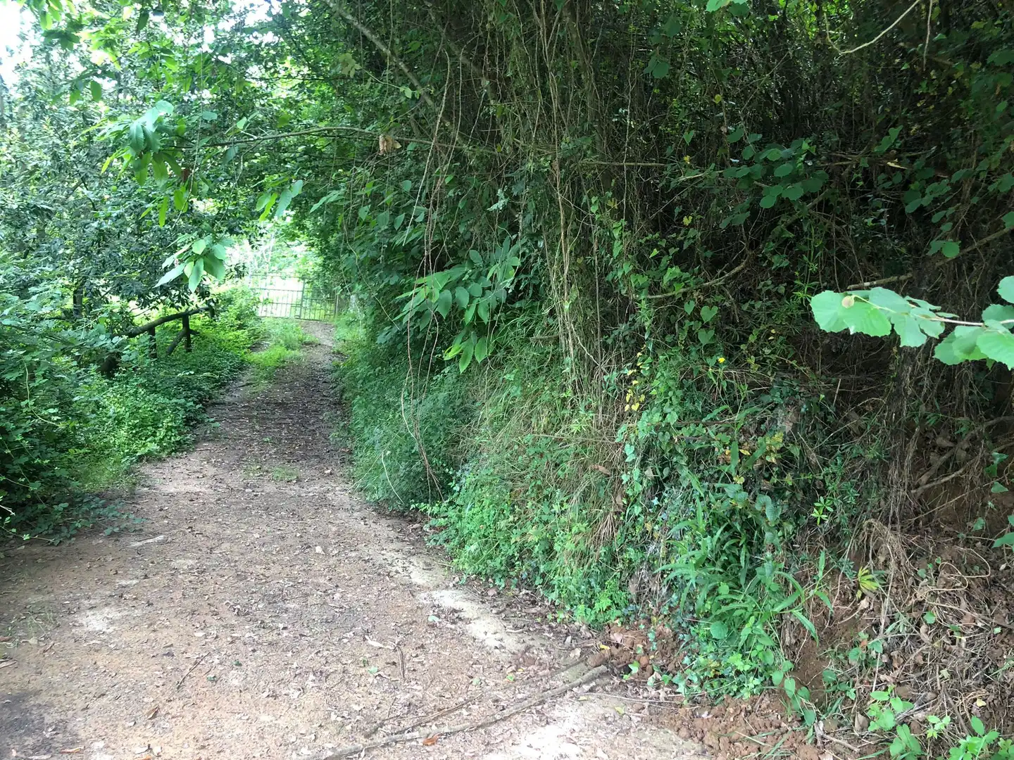 Terreno rustico in vendita a Rural, imagen 10
