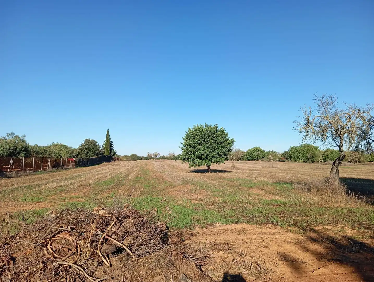 Casa in vendita a Algaida, imagen 6