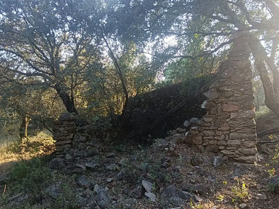 Finca rústica en venta en Linares de la Sierra