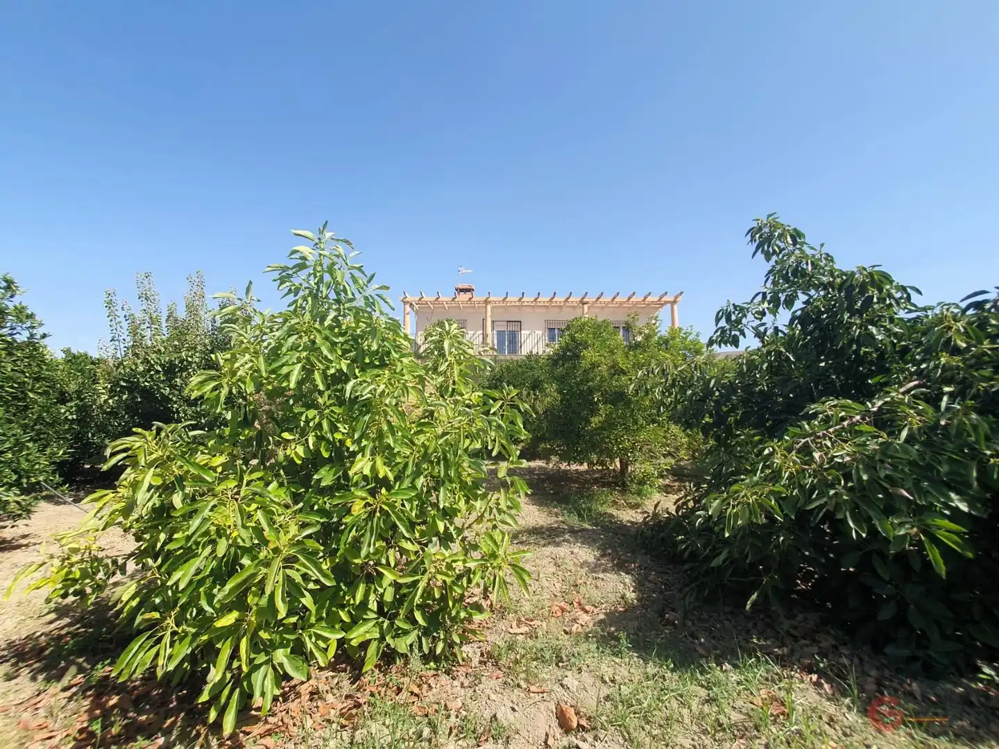 Country house zum Verkauf in El Valle