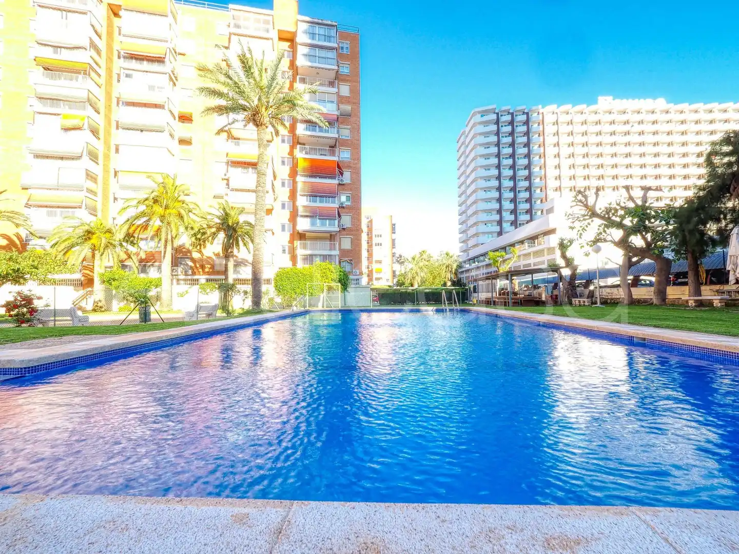 Swimming pool of Flat for sale in Benidorm  with Air Conditioner and Community pool