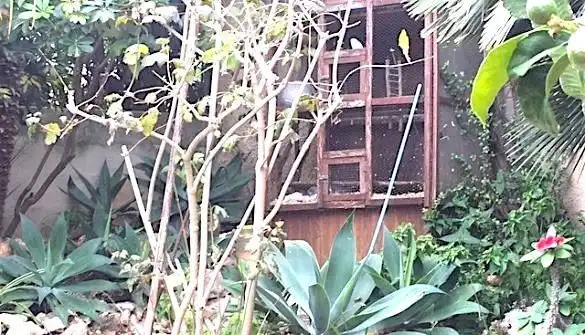 Casa in vendita a La Pedrera - Vessanes, imagen 34