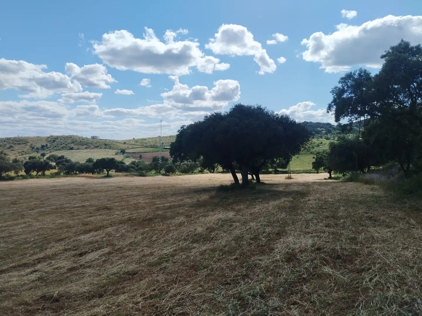 Terreni e lotti in vendita a Jerez de los Caballeros, imagen 4