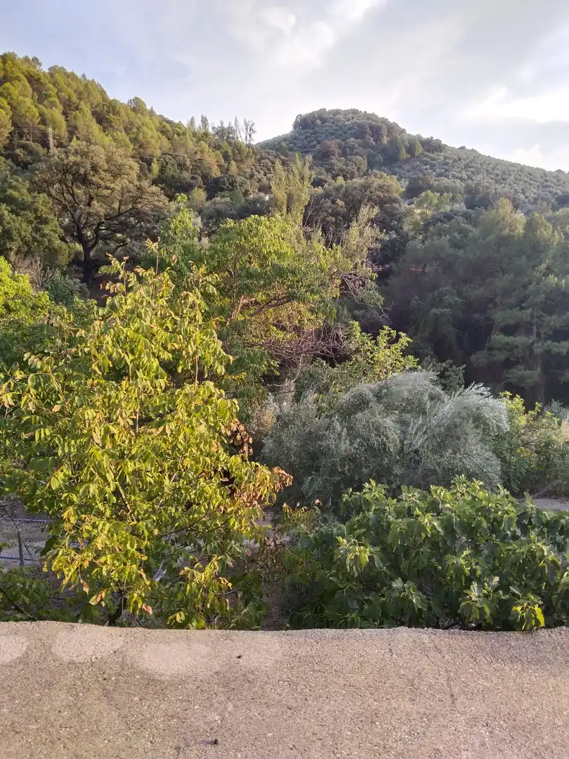 Casa rústica amb terrassa en venda a La Iruela, imagen 2
