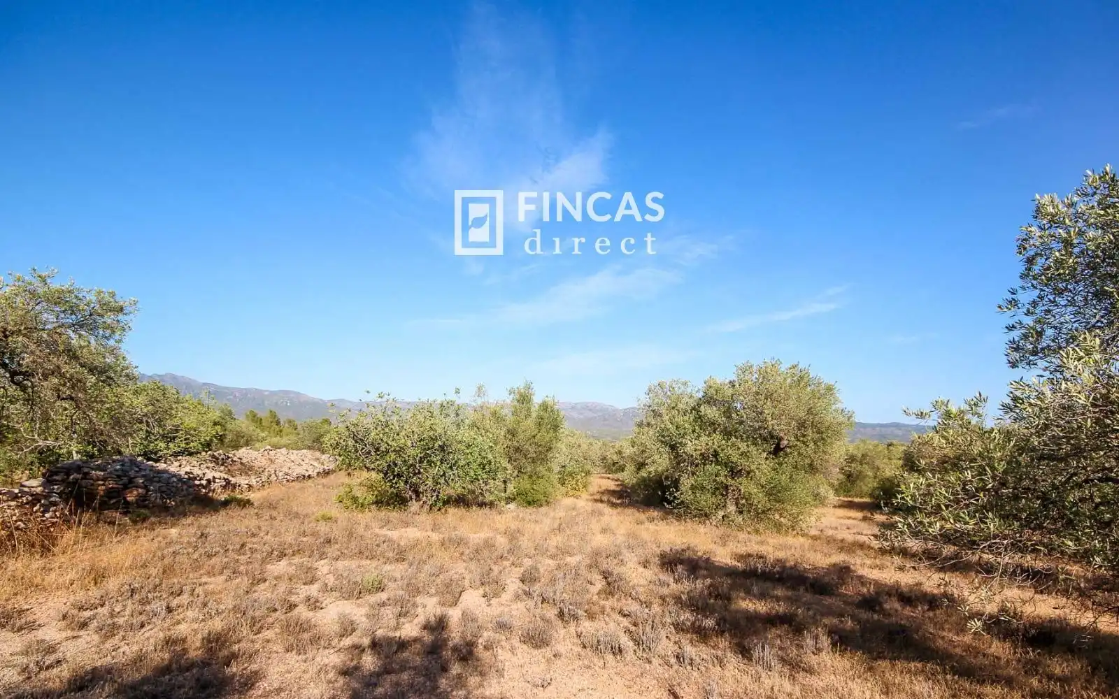Country homes for sale in Xerta