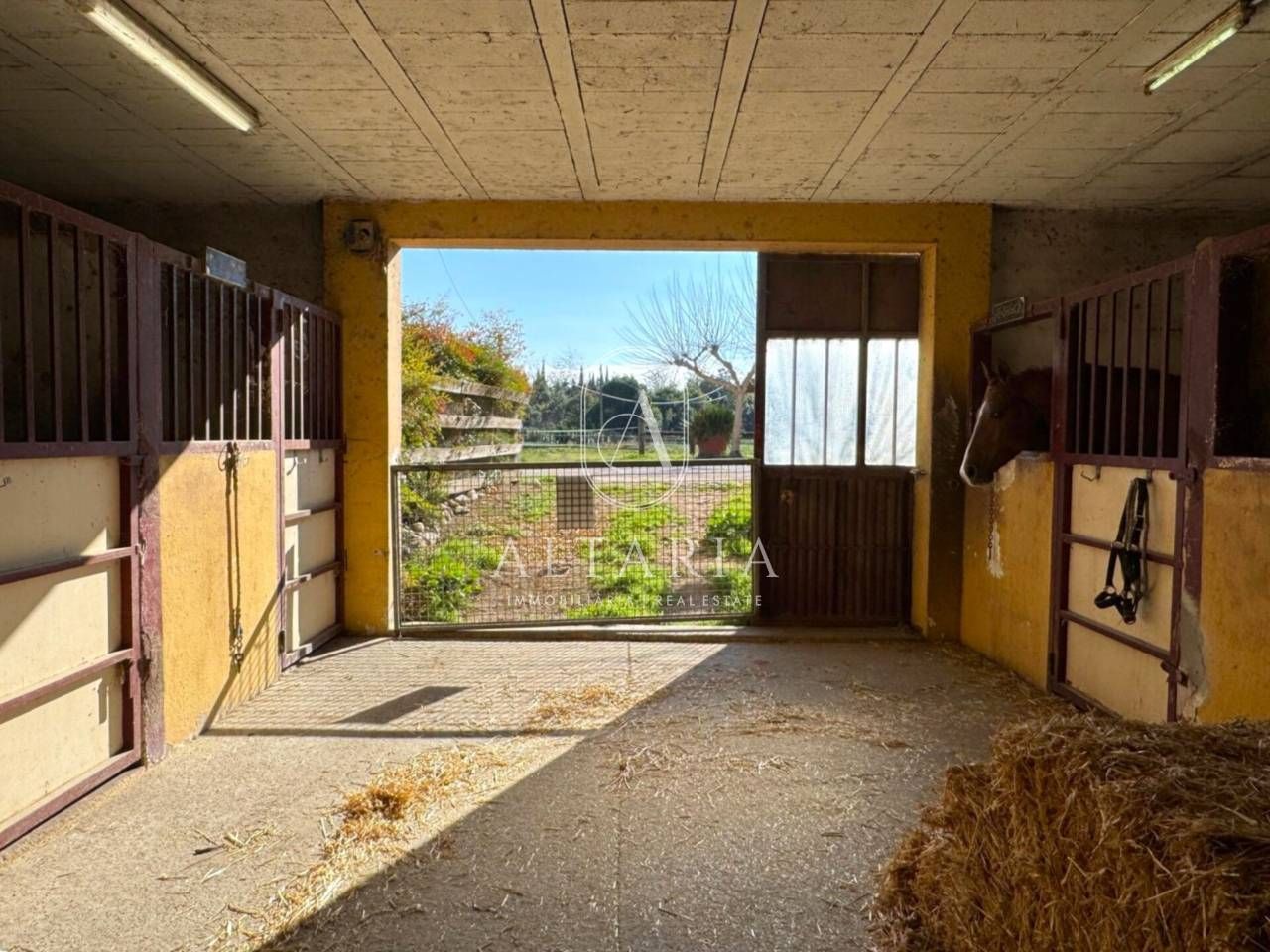 Vista exterior de Casa o xalet en venda en Celrà amb Jardí privat i Piscina