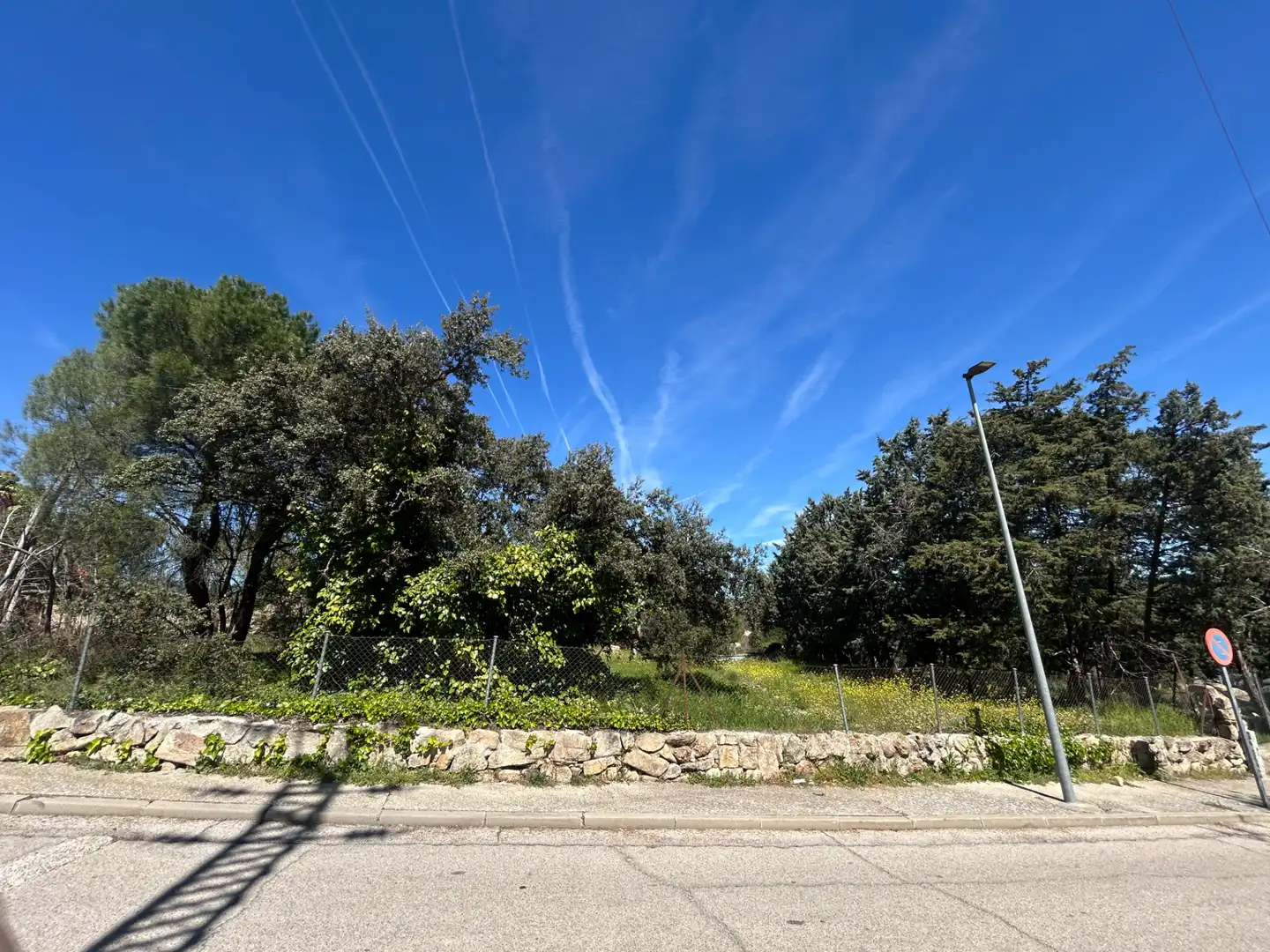 Terreno residencial en venta en Avenida de Pinares, imagen 18