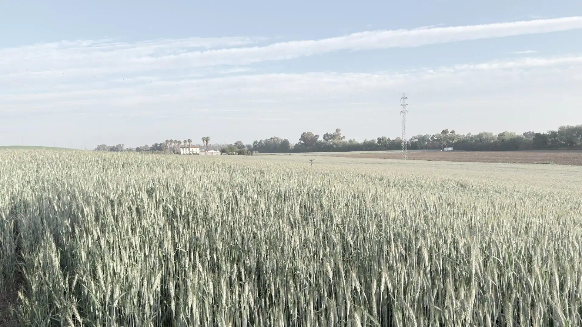 Finca rústica en venda en Huelva amb Aire condicionat, Terrassa i Piscina
