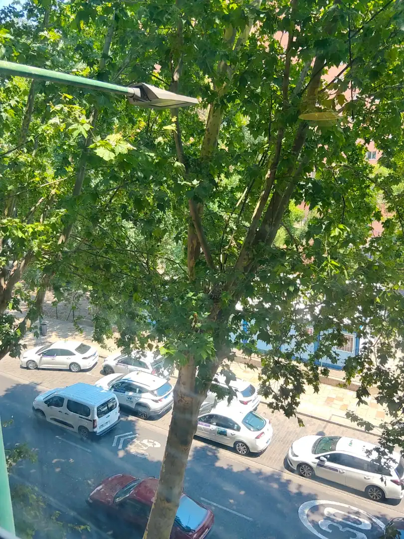 Flat with terrace for sale in Avenida Ramón y Cajal, imagen 41
