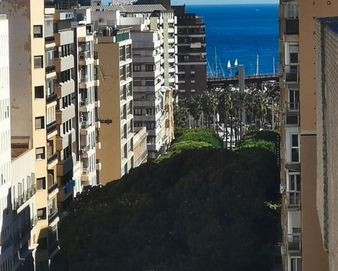 Photo 1 of Attic for sale in Paseo de Almería, 24, Centro, Almería