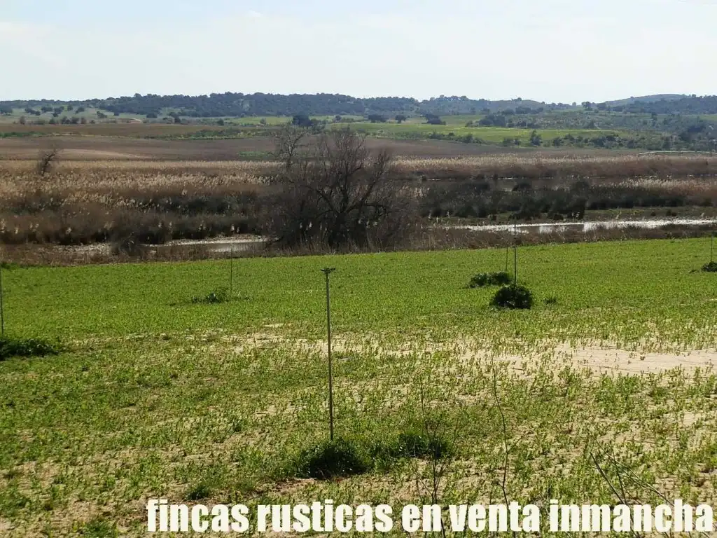 Terreno rustico in vendita a Casco Histórico, imagen 10