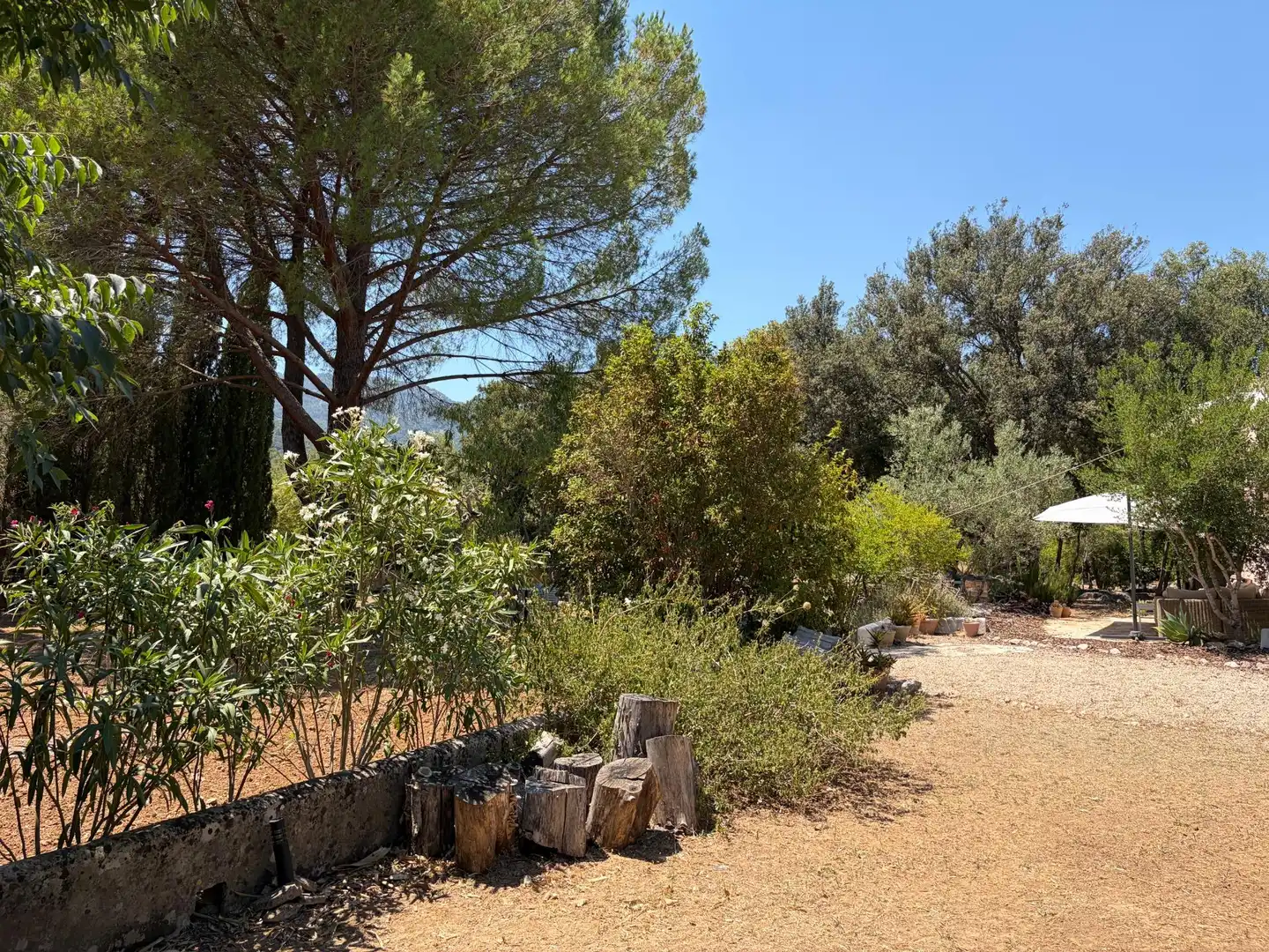 Jardí de Finca rústica en venda en Campanet amb Aire condicionat, Calefacció i Jardí privat