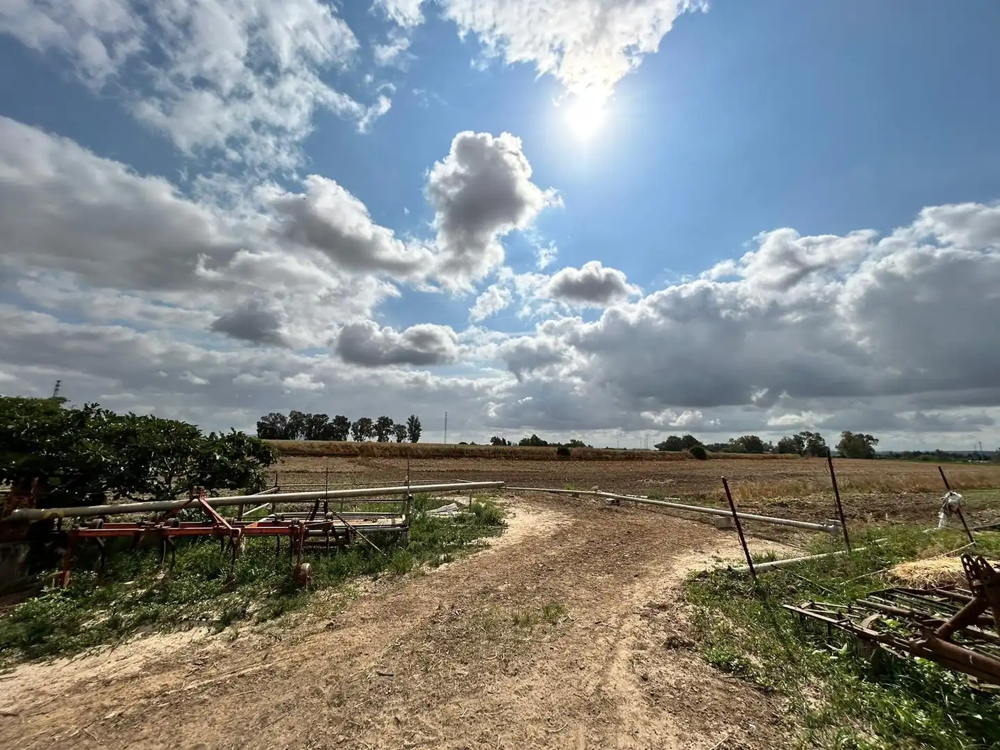 Landhaus mit Garten zum Verkauf in Jerez norte - Montealto - Pozoalbero, imagen 13