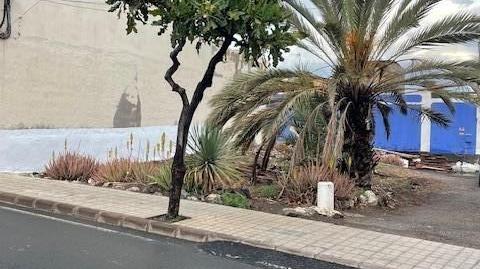 Photo 3 of Residential for sale in La Garita - Marpequeña, Las Palmas