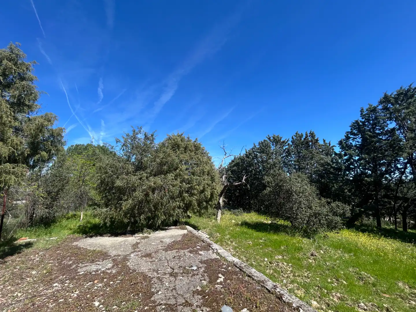 Terreno residencial en venta en Avenida de Pinares, imagen 6