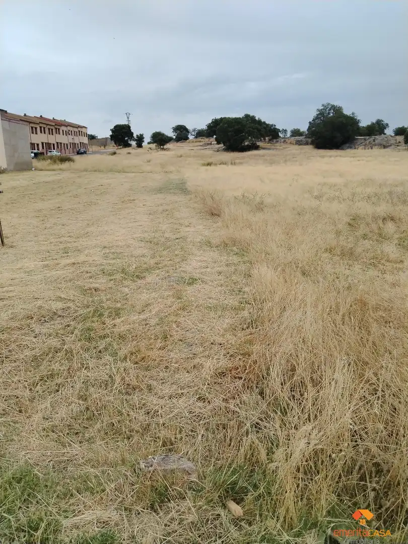 Terreni e lotti in vendita a Centro