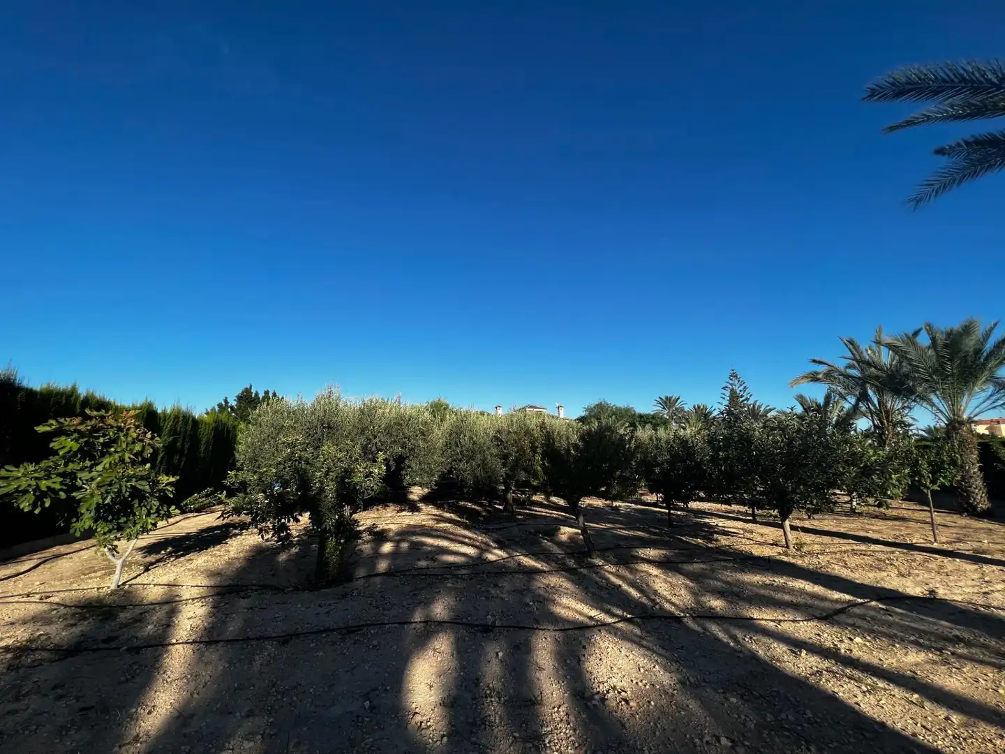 Chalet con piscina en venta en Perleta - Maitino, imagen 54