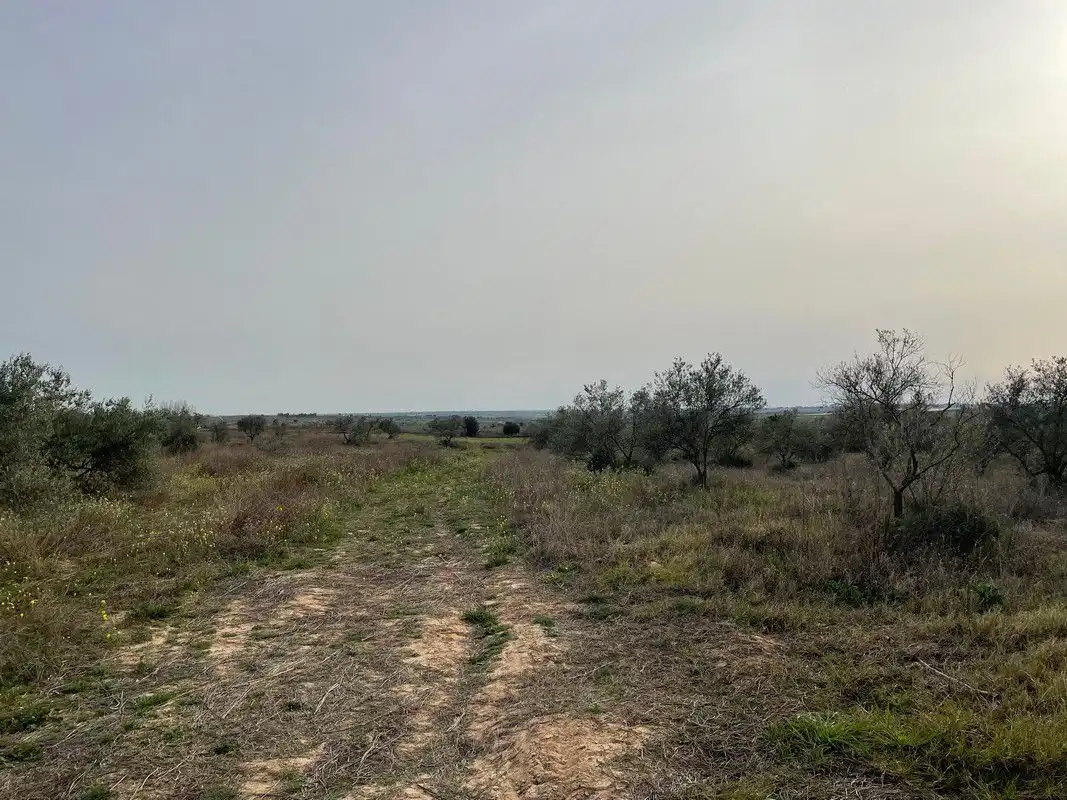 Finca rústica en venta en La Palma del Condado