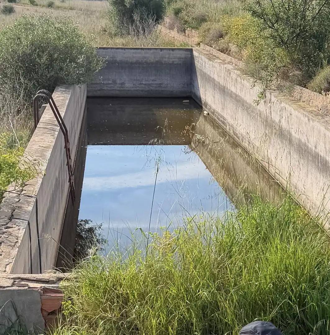 Swimming pool of Land for sale in Alcossebre